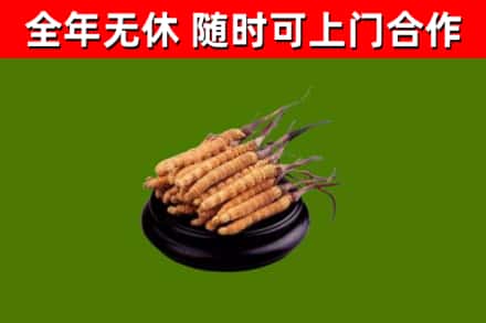 贡觉县烟酒回收冬虫夏草.jpg